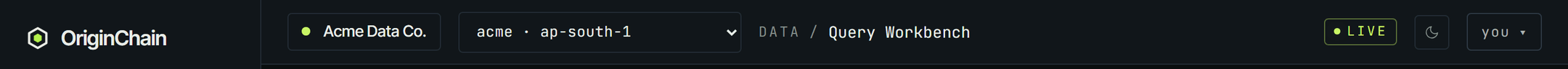 The console top bar: the account pill reading Acme Data Co., then the instance selector showing acme with the ap-south-1 region, the breadcrumb, a green LIVE status pill, a theme toggle and the user menu.